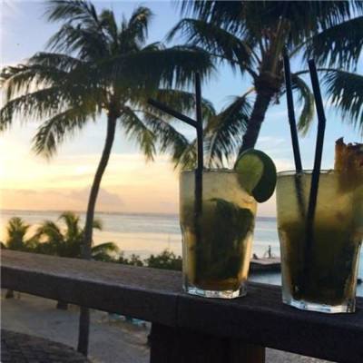 28网站手机app下载